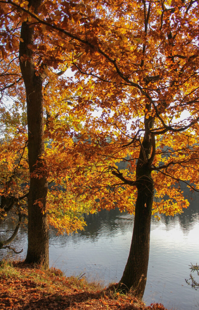 Otoño