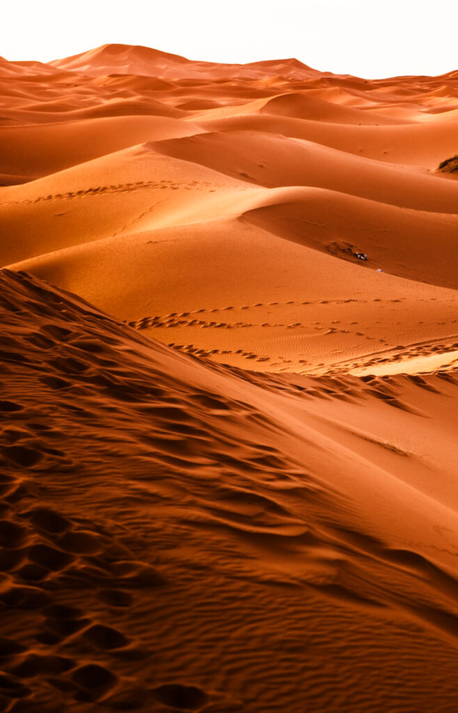 Desierto
