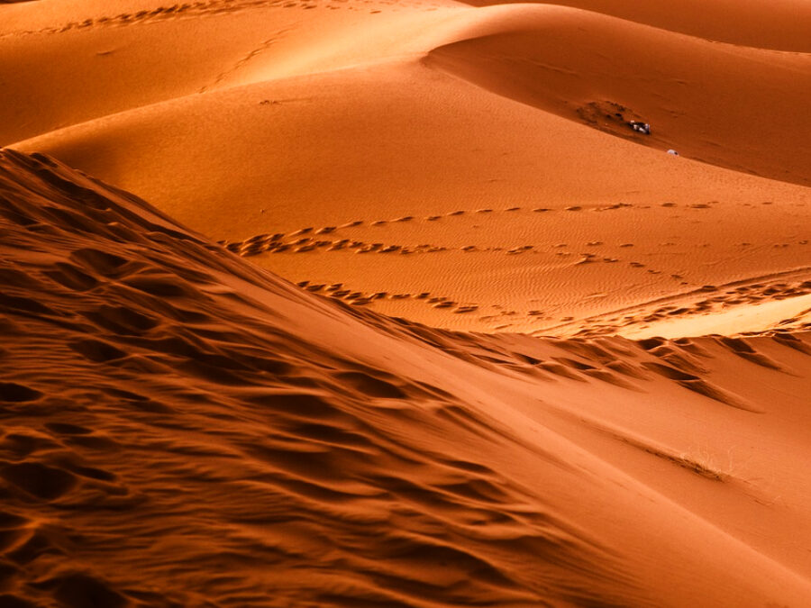 Desierto